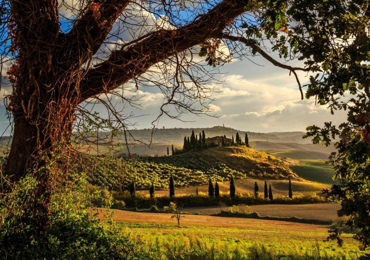 15 Min Da Montepulciano - Villa Chiara Montefollonico Екстериор снимка